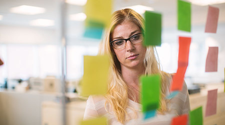 Mayo Clinic Fundamentals of Quality Improvement - Bronze Level Online