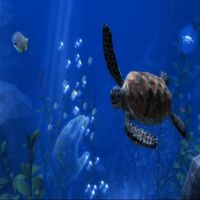 Virtual Reality Underwater Spa