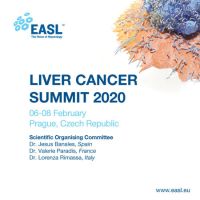 Liver Cancer Summit 2020