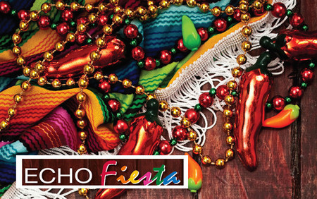 Echo Fiesta: An In-Depth Review of Adult Echocardiography for Sonographers