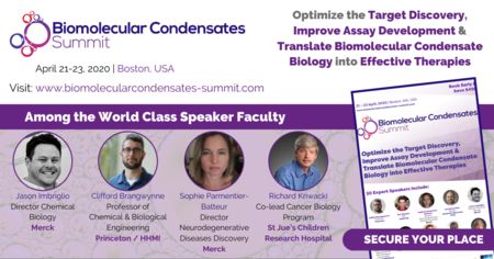 Biomolecular Condensates Summit