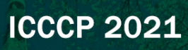 11th Intl. Conf. on Chemistry and Chemical Process--EI Compendex, Scopus