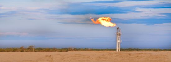 SPE Virtual Workshop: Decarbonising the Economy - The Future of Carbon Storage, 9-11 Feb 2021 Online