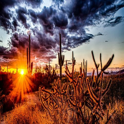 Mayo Clinic MSK Imaging: Excellence through Clinical Collaboration