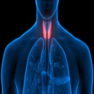 2nd Annual Mayo Clinic Thyroid and Parathyroid Disorders Course 2021