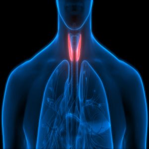 2nd Annual Mayo Clinic Thyroid and Parathyroid Disorders Course 2021