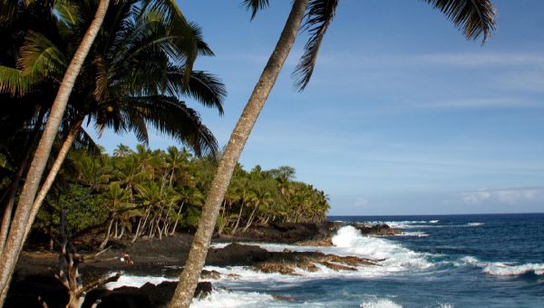 34th Annual Selected Topics in Internal Medicine 2022