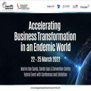 Singapore Apex Business Summit