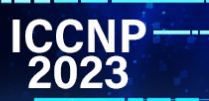 2023 4th International Conference on Communication and Network Protocol (ICCNP 2023)