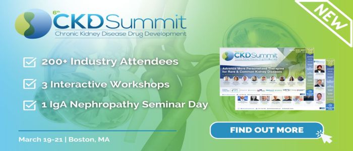 6th CKD Drug Development Summit 2024