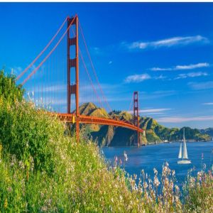 Pediatric Precision Medicine Cancer Care Summit