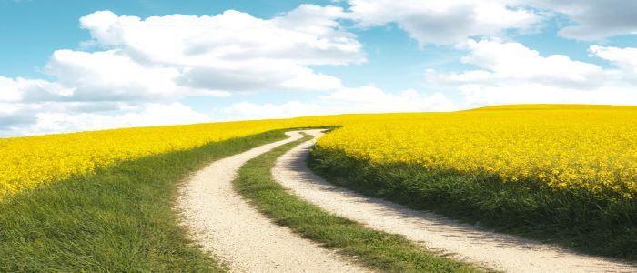 Hematology / Oncology Patient Cancer Education Series - Hepatobiliary and Pancreatic Cancer 2024