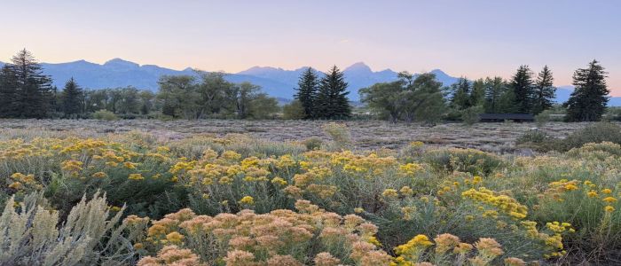 Success With Failure: Strategies for the Evaluation and Treatment of Heart Failure Management