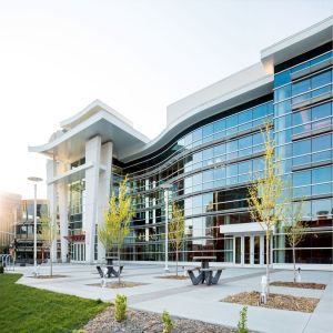 Lymphatic Disorders: From Fundamentals to Frontiers 2026