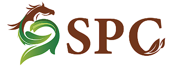 Sustainable Photonics Conference (SPC 2026)