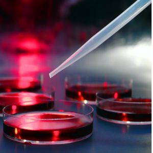 35th Annual Mayo Clinic Hematology/Oncology Reviews 2026