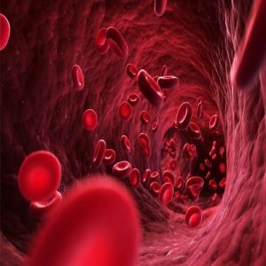 10th Annual Hematology and Oncology for NPs and PAs 2026