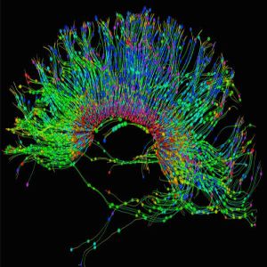 Mayo Clinic Neuro-Oncology Summit: Translating Breakthroughs into Practice