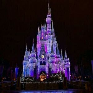 Disney CME at Walt Disney World Orlando June 25-28, 2027