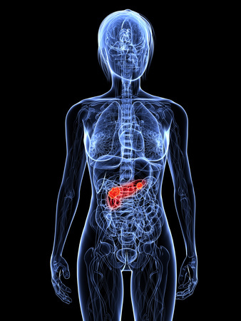 OmniaMed Kongress-Highlights Diabetologie 