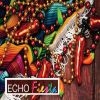 Echo Fiesta:  Adult Echo for Sonographers And Physicians