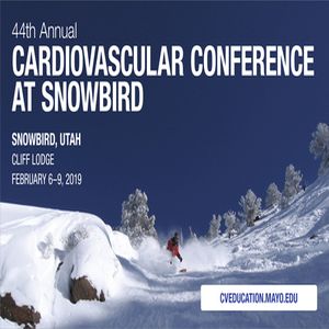 Cardiovascular Conference at Snowbird