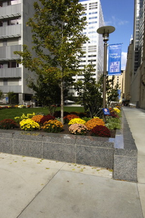 Fibromyalgia: Clinical Review and Strategies for Managing Your Patients 2019