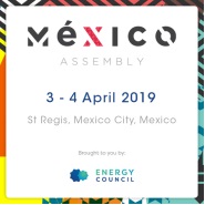 Mexico Assembly