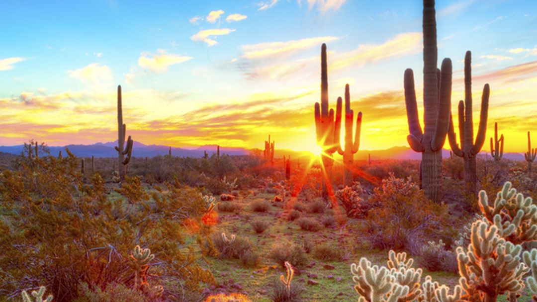 Mayo Clinic Parkinson's Disease and Other Movement Disorders