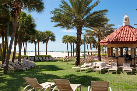 Primary Care CME in Clearwater Beach, Florida January 2023 (MLK Weekend!)