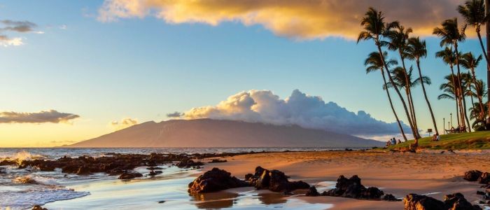 Mayo Clinic Tutorials in Diagnostic Radiology - Maui, Hawaii - January 14-18, 2024