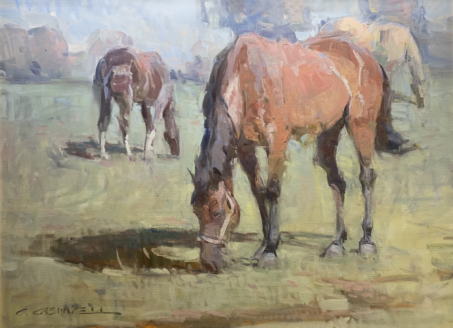 Enjoy Summer in Great Brook Gallery