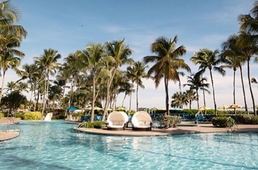 Endocrine Update 2024