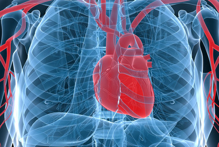 OmniaMed Kongress-Highlights Kardiologie Frankfurt 