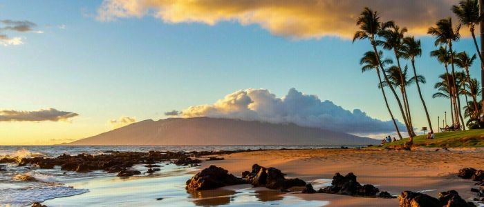 Mayo Clinic Tutorials in Diagnostic Radiology - Maui, Hawaii - January 11-15, 2026