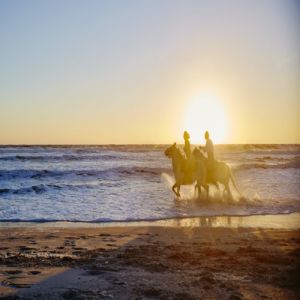 Mayo Clinic Radiology at Amelia Island