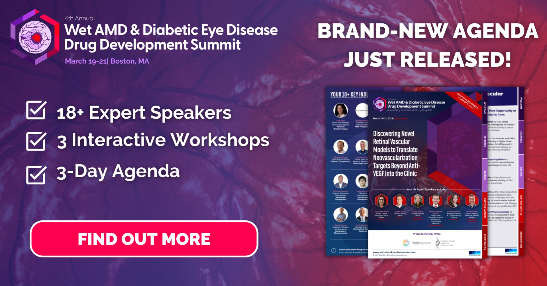 4th Wet AMD and Diabetic Eye Disease Drug Development