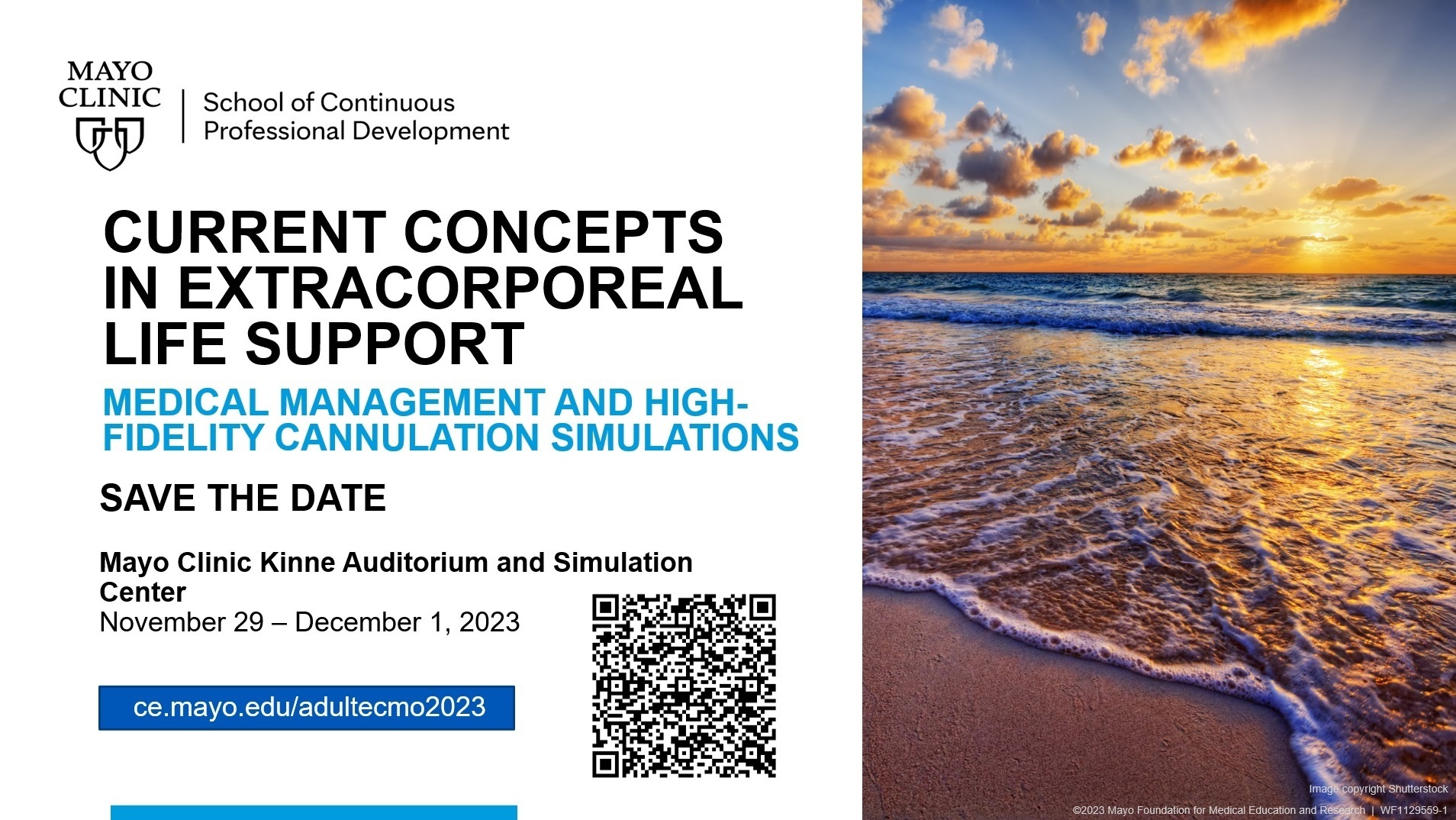 Current Concepts in Extracorporeal Life Support: Medical Management and Cannulation Simulations 2023