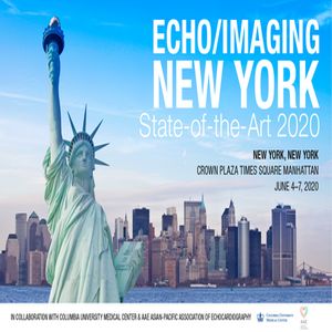 Echo/Imaging New York – State-of-the-Art 2020