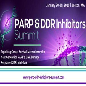 PARP & DDR Inhibitors Summit 2020
