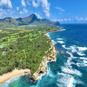 Selected Topics in Internal Medicine 2026