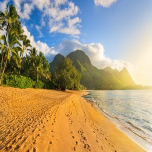 Hematology and Medical Oncology Practice Updates and Board Review 2026