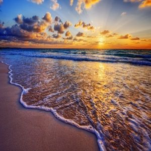 Current Concepts in Extracorporeal Life Support: Medical Management and Cannulation Simulations 2025