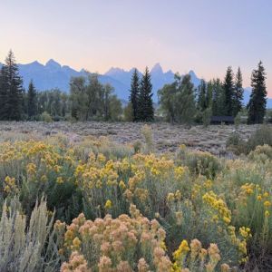 Success With Failure: Strategies for the Evaluation and Treatment of Heart Failure Management