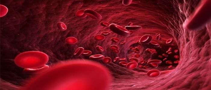 10th Annual Hematology and Oncology for NPs and PAs 2026