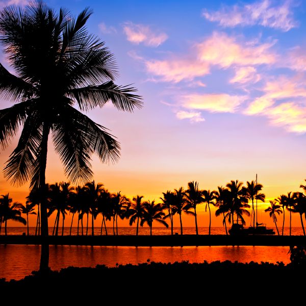 Mayo Clinic Advancements in Surgical and Medical Management of the Spine 2022