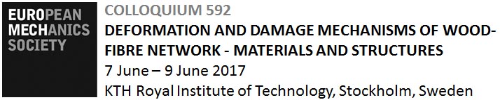 EUROMECH Colloquium 592 - Deformation and damage mechanisms of wood-fibre network - materials and structures