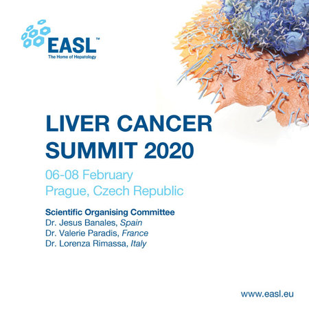 Liver Cancer Summit 2020