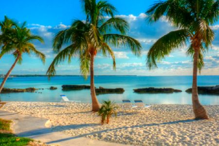 Infectious Diseases Practice Updates 2020