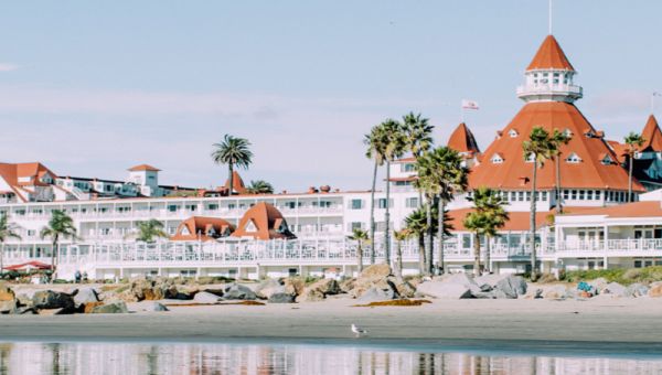 22nd Annual Nutrition and Wellness in Health and Disease 2022 - Live and Livestream